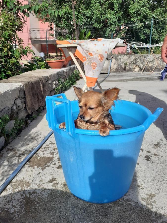 Casa Vacanza Zia Ersilia Rotondi Экстерьер фото