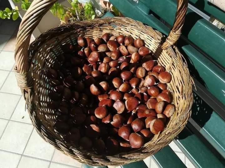 Casa Vacanza Zia Ersilia Rotondi Экстерьер фото