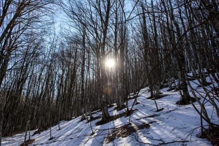 Casa Vacanza Zia Ersilia Rotondi Экстерьер фото